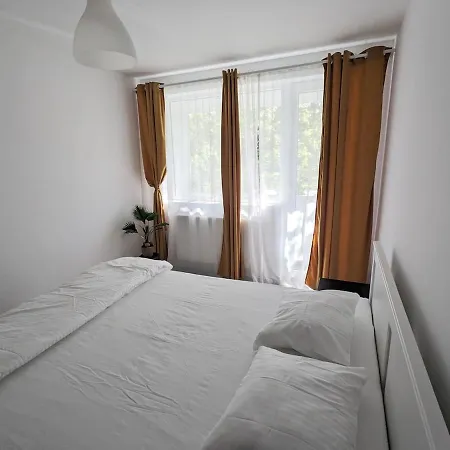 Cozy Afi Family And Friends Self Check-in *