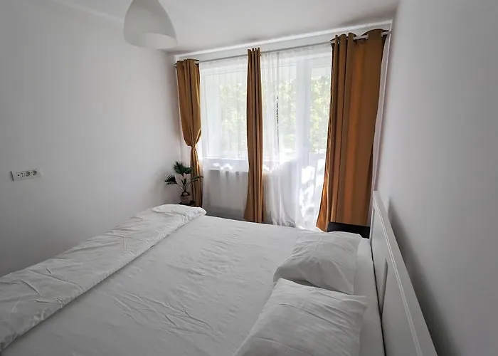 Cozy Afi Family And Friends Self Check-in *