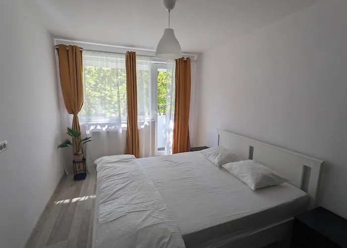 Cozy Afi Family And Friends Self Check-in *